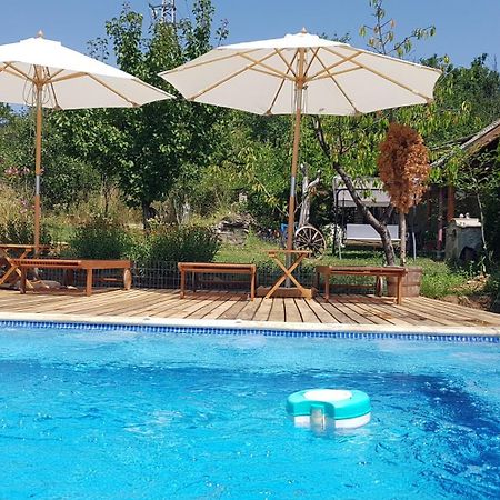 Къща За Гости Каза Роза - Swiss Style Chalet Casa Rosa Guest House Kjustendil Esterno foto