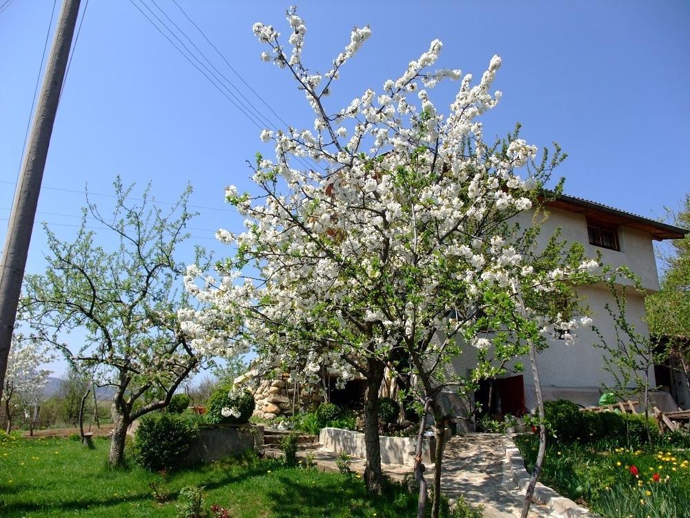 Къща За Гости Каза Роза - Swiss Style Chalet Casa Rosa Guest House Kjustendil Camera foto